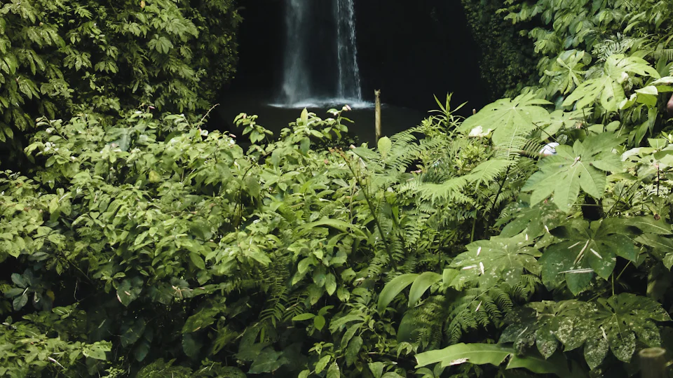 Sekumpul waterfall cascading through north Bali jungle