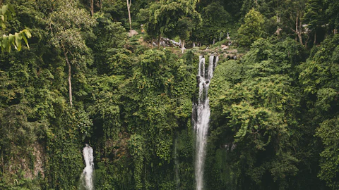 Tall waterfall cascading through dense Bali jungle